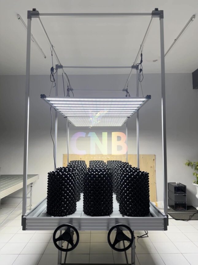 326260077_479209067718391_4631814899229598633_n